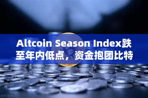 Altcoin Season Index跌至年内低点，资金抱团比特币现货，山寨币市场何去何从？