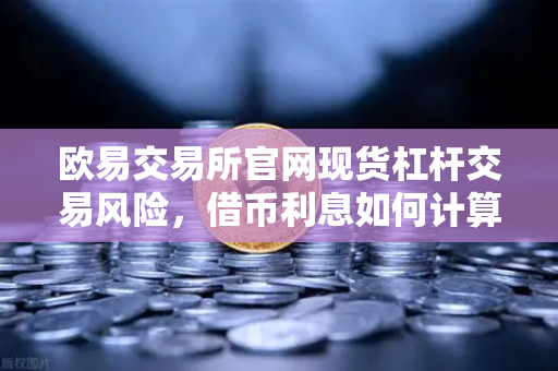 欧易交易所官网现货杠杆交易风险，借币利息如何计算？深度解析与实用指南