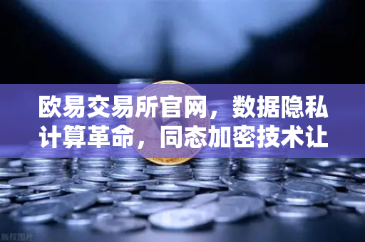 欧易交易所官网，数据隐私计算革命，同态加密技术让数据可用不可见
