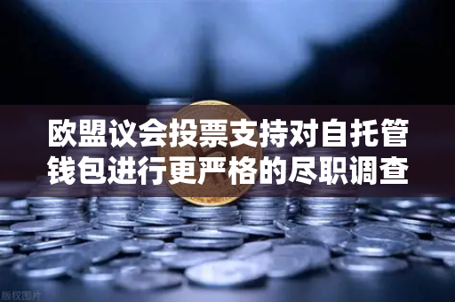欧盟议会投票支持对自托管钱包进行更严格的尽职调查，对加密市场的影响与应对