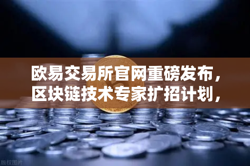 欧易交易所官网重磅发布，区块链技术专家扩招计划，薪资对标硅谷，引领行业新高度