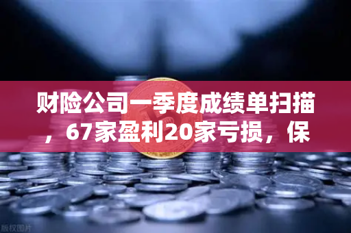 财险公司一季度成绩单扫描，67家盈利20家亏损，保险资金入市偏好与数字化平台协同效应凸显