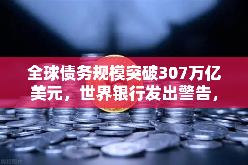 全球债务规模突破307万亿美元，世界银行发出警告，经济风险加剧，投资者如何应对？