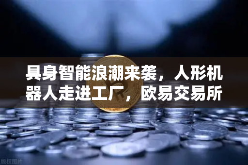 具身智能浪潮来袭，人形机器人走进工厂，欧易交易所官网见证AI产业新纪元