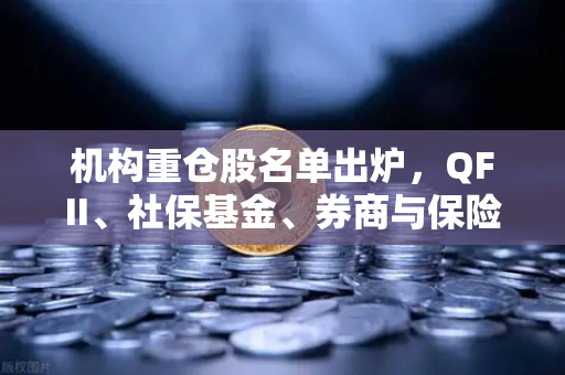 机构重仓股名单出炉，QFII、社保基金、券商与保险资金扎堆涉币概念股