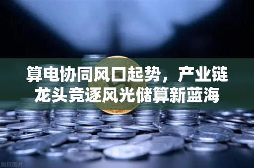算电协同风口起势，产业链龙头竞逐风光储算新蓝海