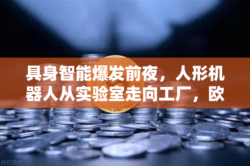 具身智能爆发前夜，人形机器人从实验室走向工厂，欧易交易所如何赋能技术革命？