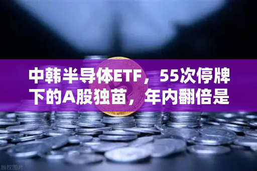 中韩半导体ETF，55次停牌下的A股独苗，年内翻倍是上车还是避险？