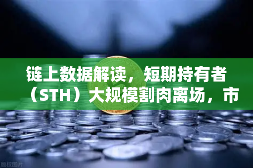 链上数据解读，短期持有者（STH）大规模割肉离场，市场见底信号已浮现？