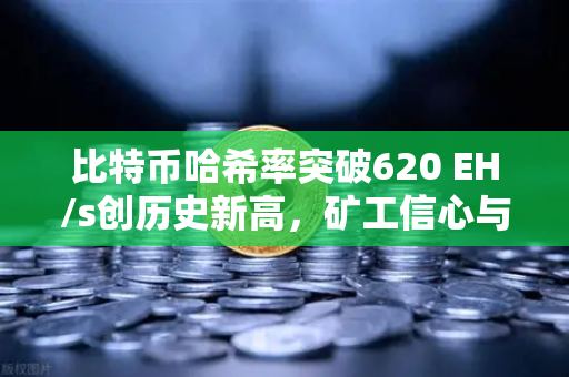 比特币哈希率突破620 EH/s创历史新高，矿工信心与算力竞赛进入新阶段