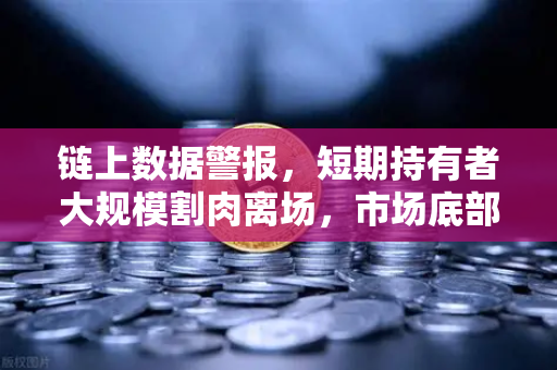 链上数据警报，短期持有者大规模割肉离场，市场底部信号是否已现？