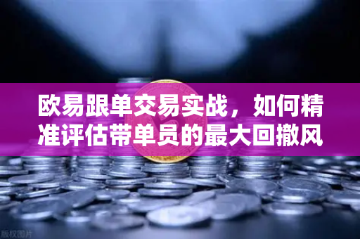欧易跟单交易实战，如何精准评估带单员的最大回撤风险？