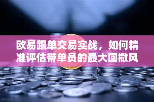 欧易跟单交易实战，如何精准评估带单员的最大回撤风险？