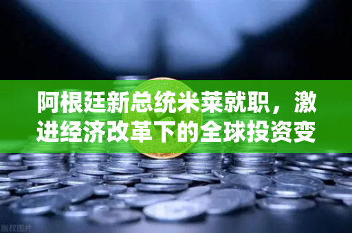 阿根廷新总统米莱就职，激进经济改革下的全球投资变局与欧易交易所官网新机遇