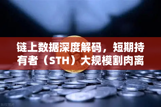 链上数据深度解码，短期持有者（STH）大规模割肉离场，市场底部信号已现？