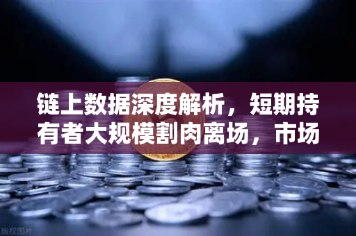 链上数据深度解析，短期持有者大规模割肉离场，市场底部信号已至？