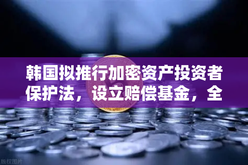 韩国拟推行加密资产投资者保护法，设立赔偿基金，全球数字货币监管新里程碑