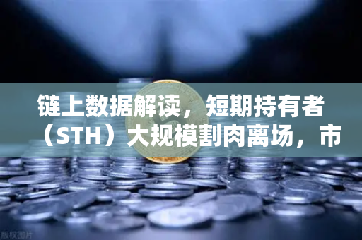 链上数据解读，短期持有者（STH）大规模割肉离场，市场底部信号是否已现？