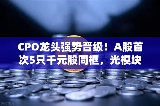 CPO龙头强势晋级！A股首次5只千元股同框，光模块与区块链数据传输的双核时代