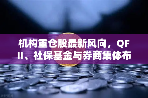 机构重仓股最新风向，QFII、社保基金与券商集体布局，涉币概念股意外成焦点