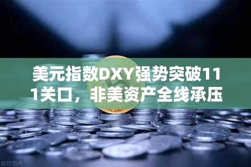 美元指数DXY强势突破111关口，非美资产全线承压，欧易交易所下载用户如何应对市场变局？