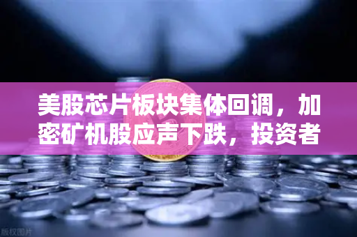 美股芯片板块集体回调，加密矿机股应声下跌，投资者在担心什么？