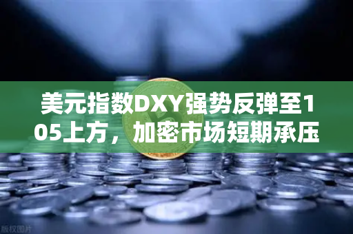 美元指数DXY强势反弹至105上方，加密市场短期承压下的生存策略与机遇前瞻