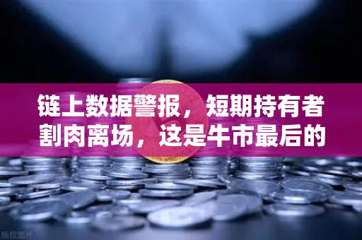 链上数据警报，短期持有者割肉离场，这是牛市最后的洗盘还是趋势逆转的信号？