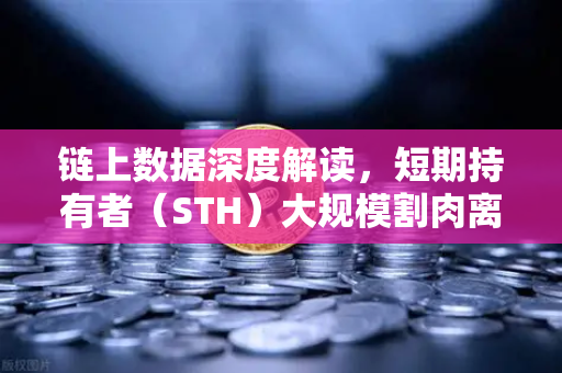 链上数据深度解读，短期持有者（STH）大规模割肉离场，市场底部信号是否已现？