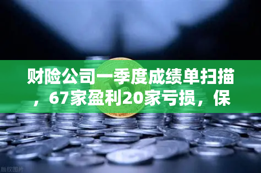 财险公司一季度成绩单扫描，67家盈利20家亏损，保险资金入市偏好引关注