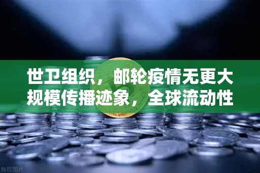 世卫组织，邮轮疫情无更大规模传播迹象，全球流动性危机解除？投资风向如何把握