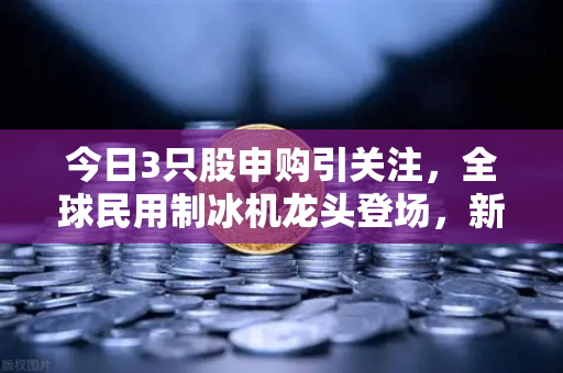 今日3只股申购引关注，全球民用制冰机龙头登场，新股炒作逻辑全解析