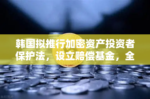 韩国拟推行加密资产投资者保护法，设立赔偿基金，全球监管风向与投资者应对策略