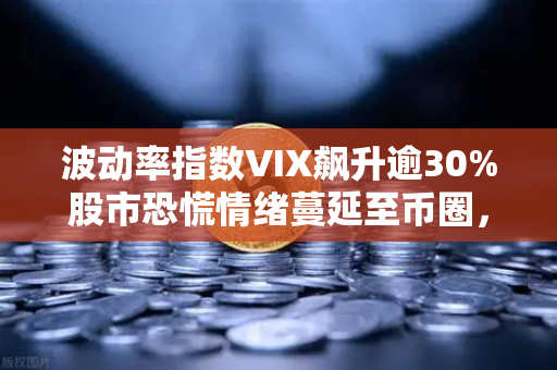 波动率指数VIX飙升逾30%股市恐慌情绪蔓延至币圈，投资者何去何从？