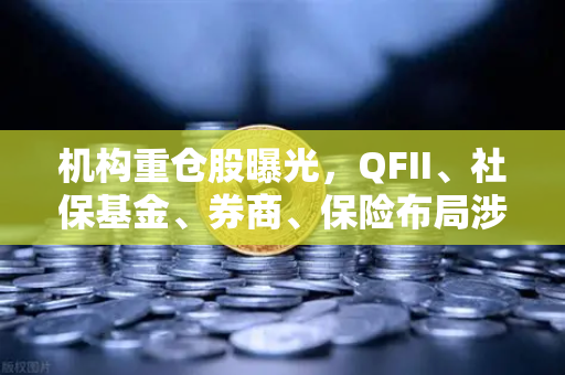 机构重仓股曝光，QFII、社保基金、券商、保险布局涉币概念股，市场风向标已变？