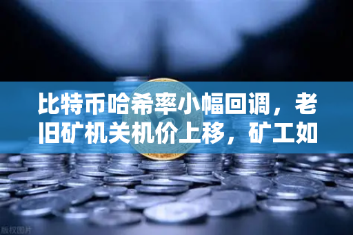 比特币哈希率小幅回调，老旧矿机关机价上移，矿工如何应对市场变局？