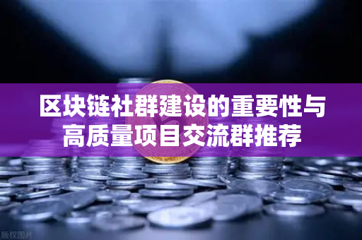 区块链社群建设的重要性与高质量项目交流群推荐
