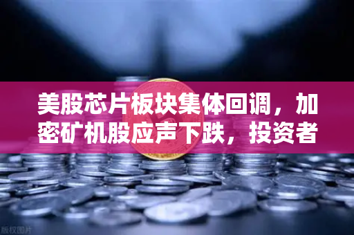 美股芯片板块集体回调，加密矿机股应声下跌，投资者在担心什么？