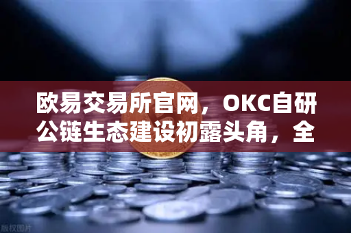 欧易交易所官网，OKC自研公链生态建设初露头角，全面满足用户多元加密数字资产业务需求