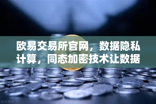欧易交易所官网，数据隐私计算，同态加密技术让数据可用不可见