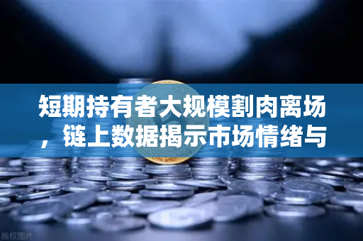 短期持有者大规模割肉离场，链上数据揭示市场情绪与投资逻辑