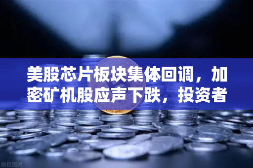美股芯片板块集体回调，加密矿机股应声下跌，投资者在担心什么？