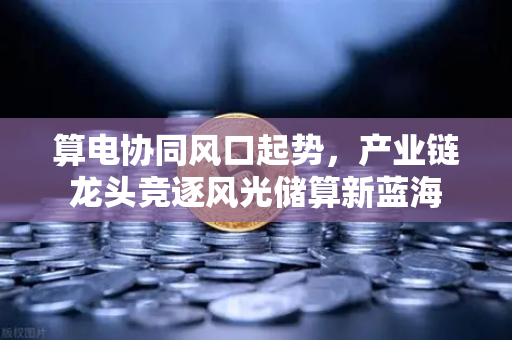 算电协同风口起势，产业链龙头竞逐风光储算新蓝海
