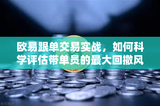 欧易跟单交易实战，如何科学评估带单员的最大回撤风险？