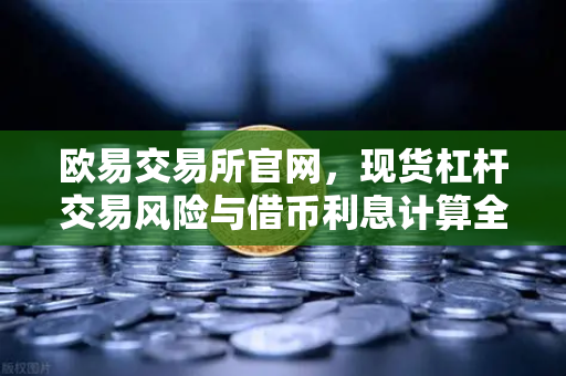 欧易交易所官网，现货杠杆交易风险与借币利息计算全解析