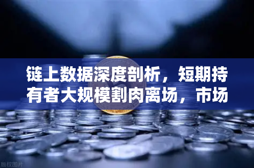 链上数据深度剖析，短期持有者大规模割肉离场，市场底部信号已现？