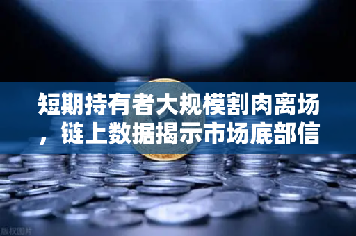短期持有者大规模割肉离场,链上数据揭示市场底部信号?-第1张图片-欧易交易所 短期持有者大规模割肉离场,链上数据揭示市场底部信号?-第1张图片-欧易交易所