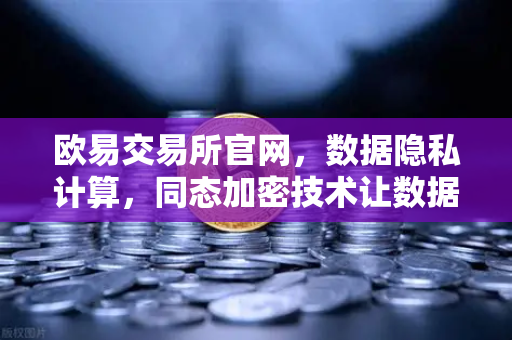 欧易交易所官网，数据隐私计算，同态加密技术让数据可用不可见-第1张图片-欧易交易所