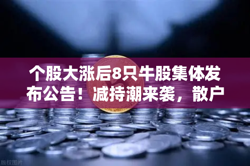 个股大涨后8只牛股集体发布公告！减持潮来袭，散户如何应对？-第1张图片-欧易交易所