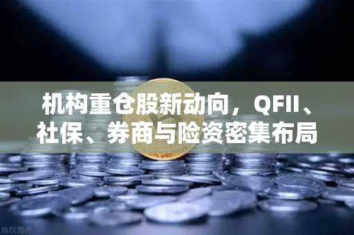 机构重仓股新动向，QFII、社保、券商与险资密集布局，多家涉币概念股浮出水面